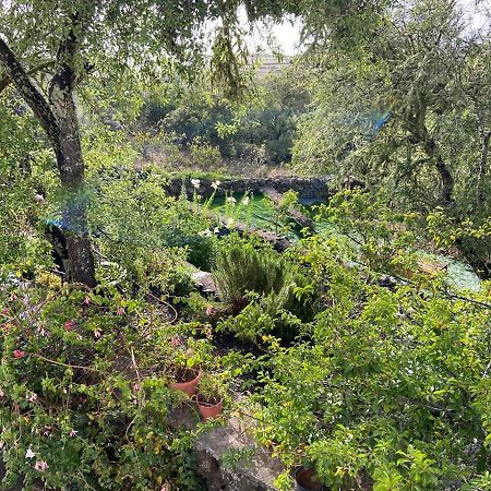 Casas Rurales Tio Antonio Las Rosas  エクステリア 写真