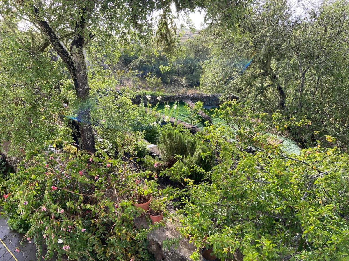 Casas Rurales Tio Antonio Las Rosas  エクステリア 写真