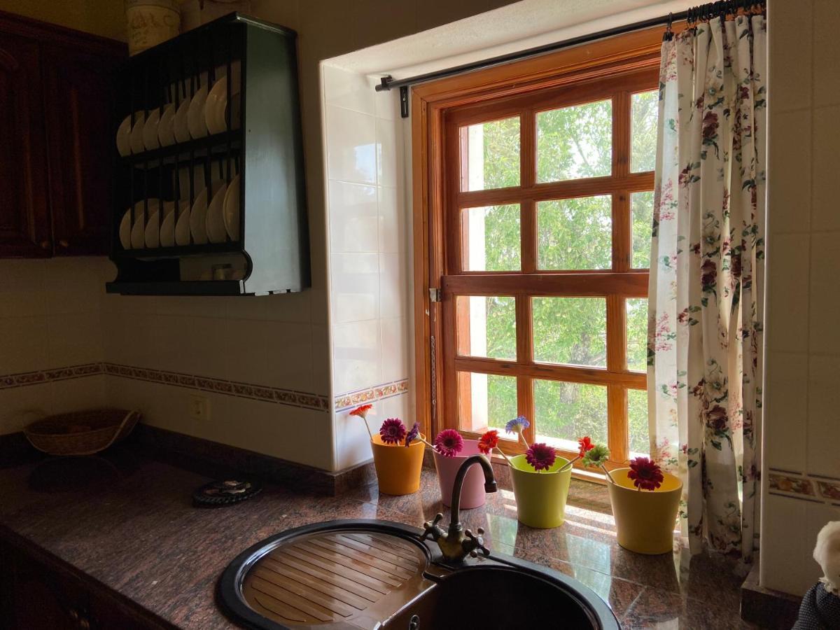 Casas Rurales Tio Antonio Las Rosas  エクステリア 写真